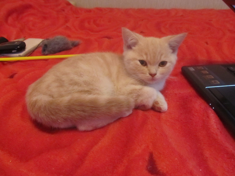 Помогите назвать