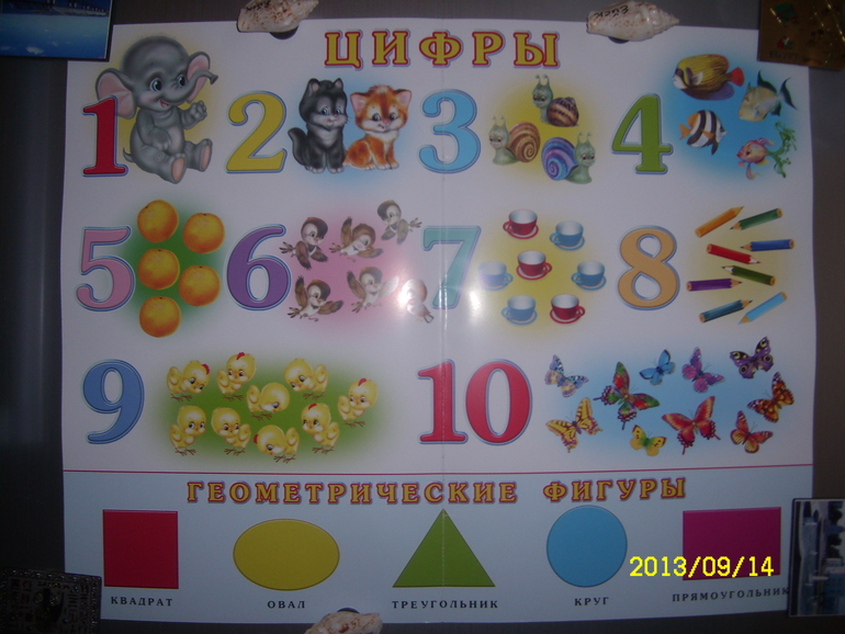 Плакат-Лото-Раскраска