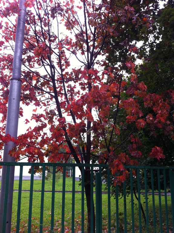 Осень...а на душе тепло