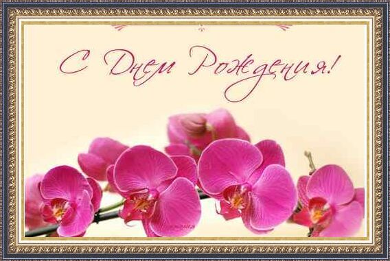 С ДНЕМ РОЖДЕНИЯ!!!!