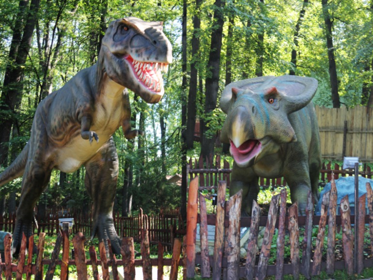 Личный день Ариадны