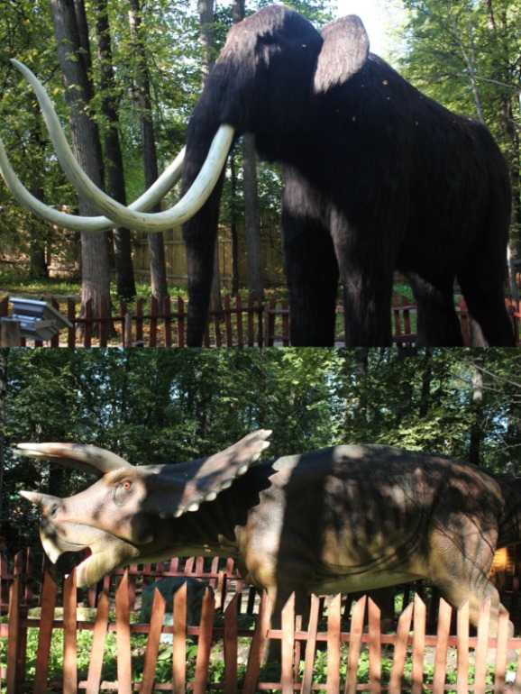 Личный день Ариадны