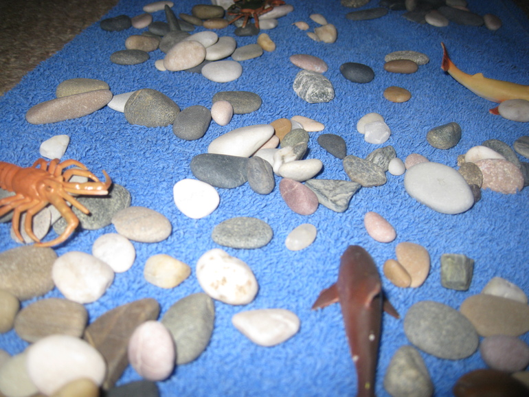 Наши морские игры.