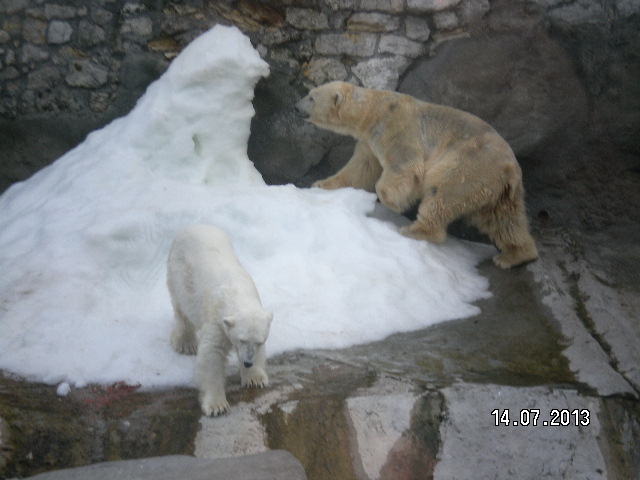 Всей семьёй поехали в зоопарк