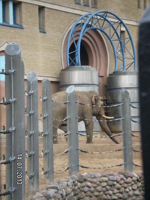 Всей семьёй поехали в зоопарк