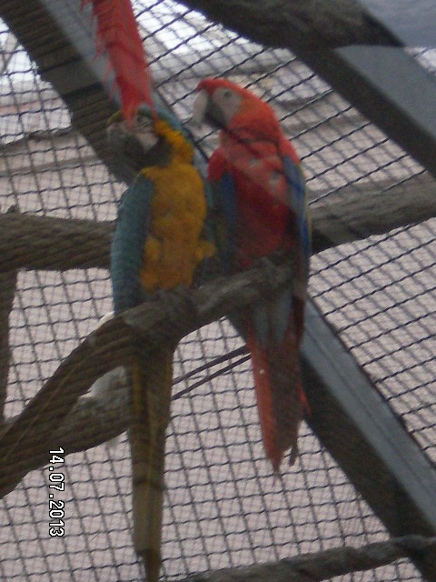 Всей семьёй поехали в зоопарк