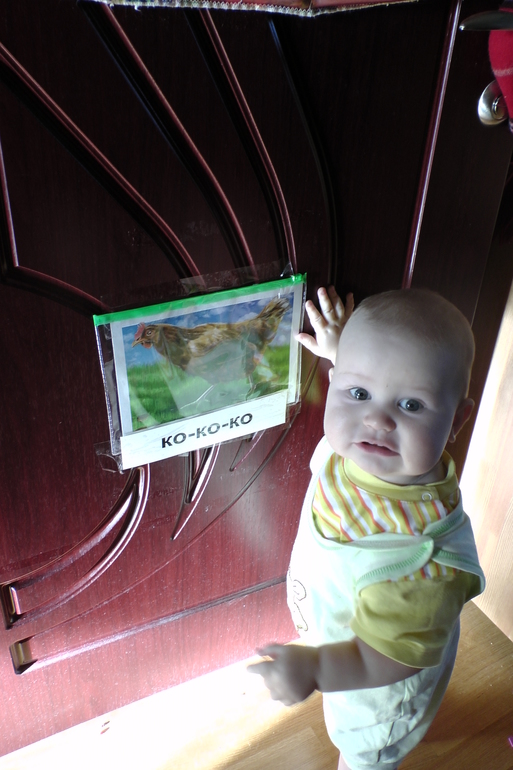 День 2. Курица