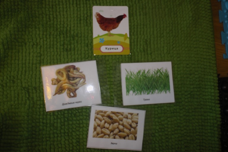 День 2. Курица