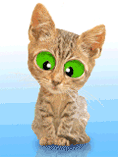 21e696964aa8bb932fcce97509d7fc11.gif