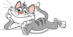 655bb4bd54d6fed0db1e4c29c3a838c9.gif