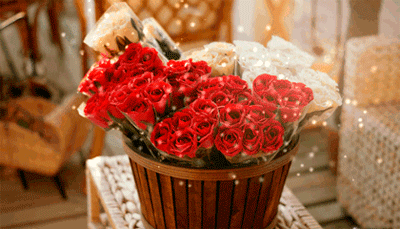 83a293ce3cbf76fcff4b144ee4c6f1fd.gif