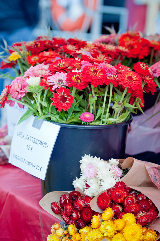 Лапперанта