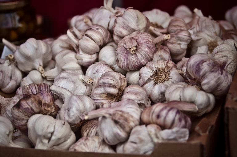 Лапперанта