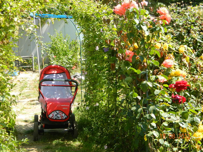 Дачный внедорожник Adamex Saturn