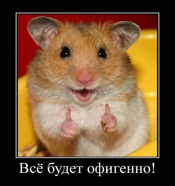 443bb38525afdd39ccaeffc78e4ab8fd.jpg