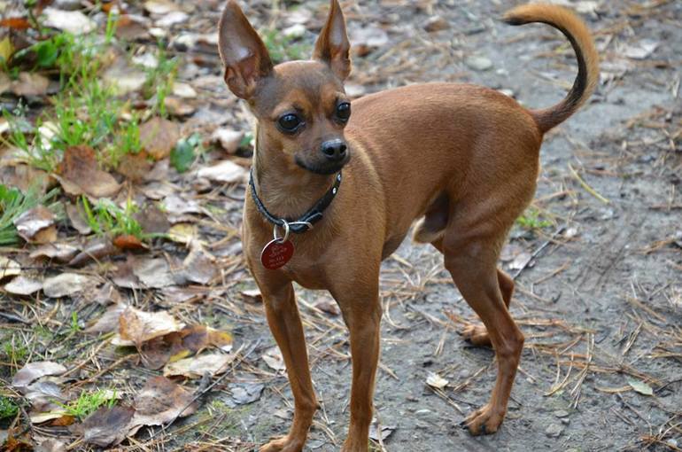 Надеюсь подружатся)