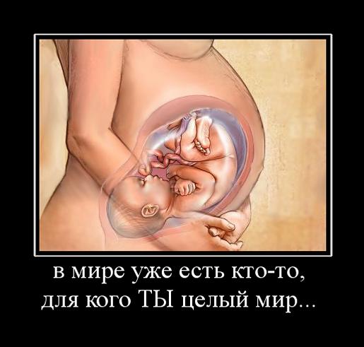 6b1459f718c6e923086fd38bc935bb56.jpg