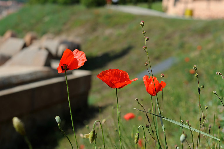 Наш маленький отпуск в Болгарии :)