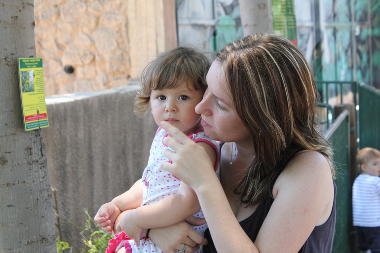 В какой цвет покраситься?