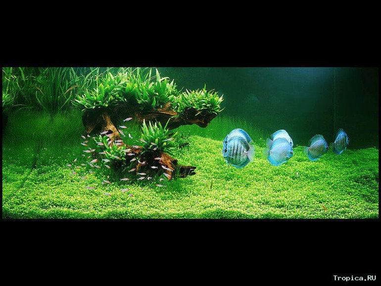 дизайны домов и интерьеров часть 8. может кому помогу в выборе