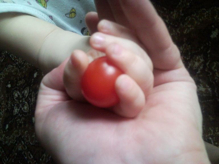 первый помидорчик в ладошке у малого))))