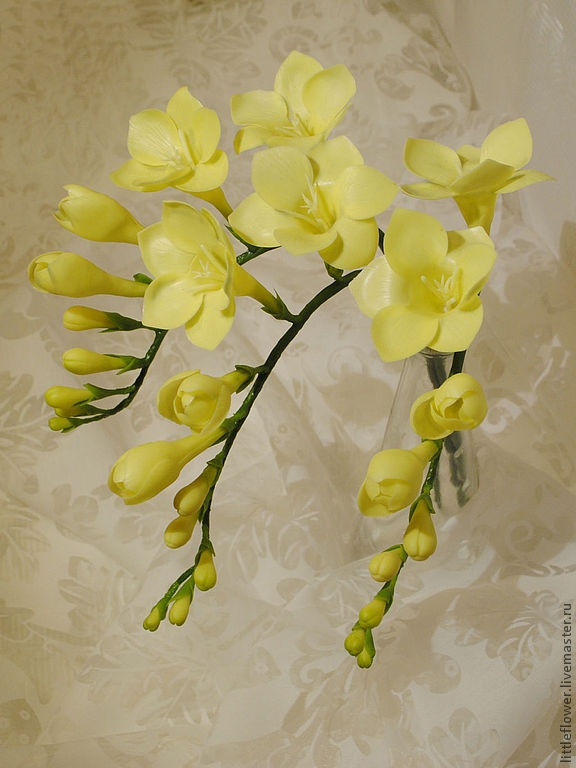 Второй цветочек Фрезия