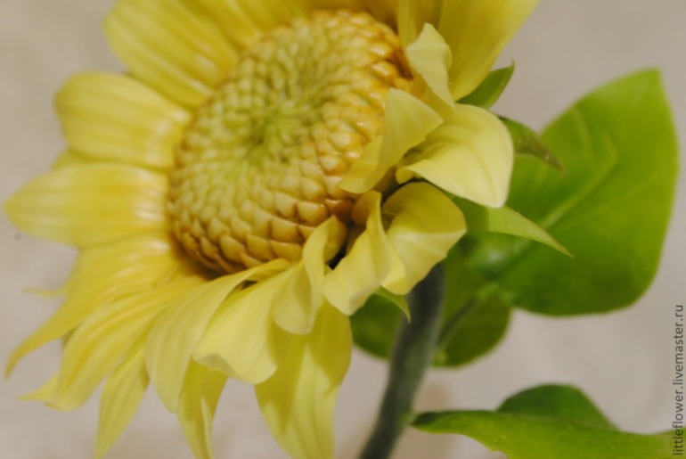 Наконец-то не розы))))