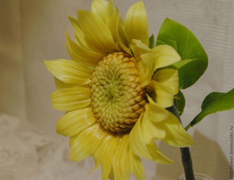 Наконец-то не розы))))