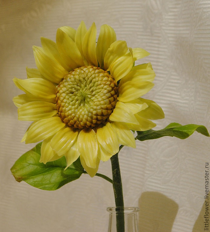 Наконец-то не розы))))