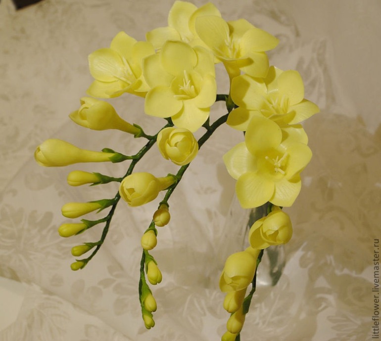 Второй цветочек Фрезия