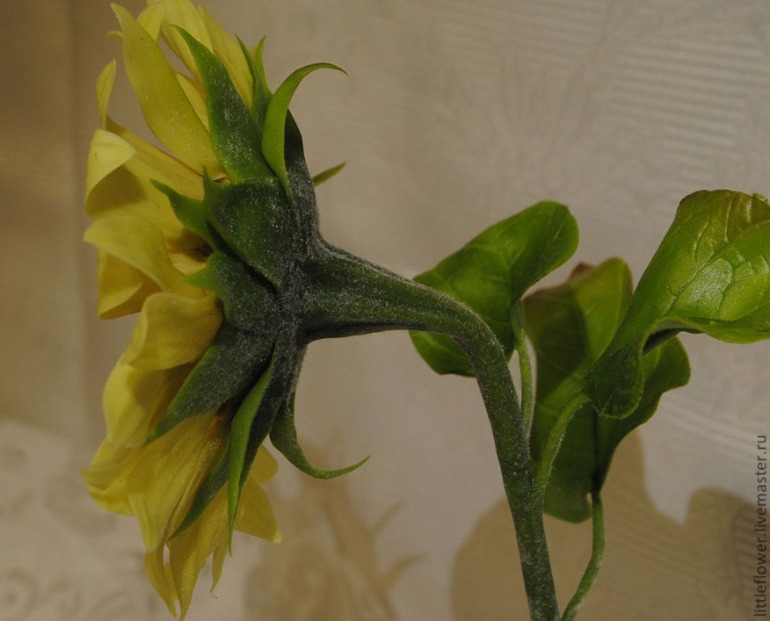 Наконец-то не розы))))