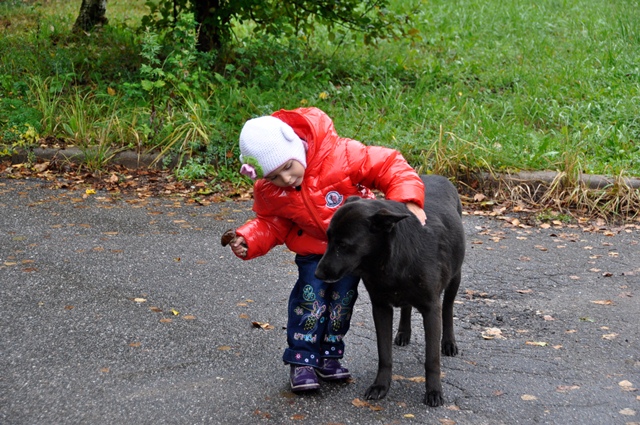Осень. Гулятельные занятия