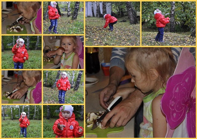 Осень. Гулятельные занятия