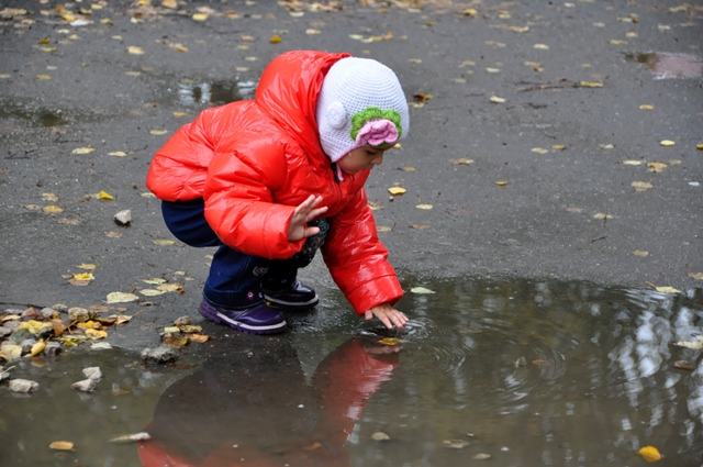 Осень. Гулятельные занятия
