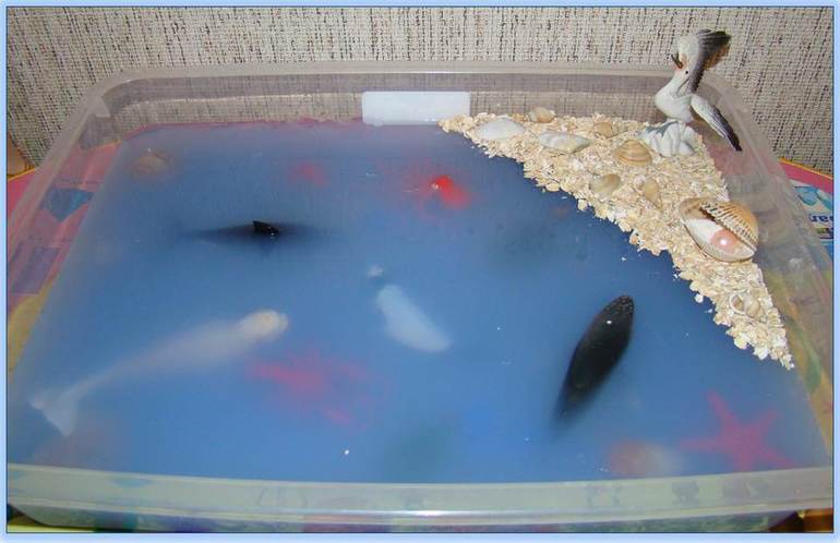 Тематическая неделя "Водный мир"