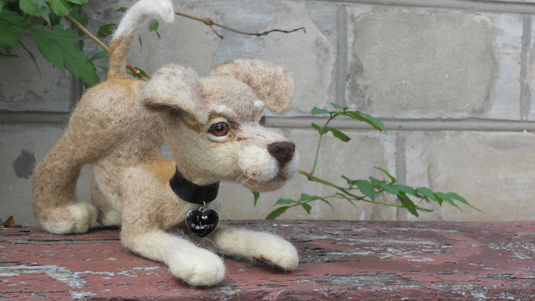 Мой Роберт)))))