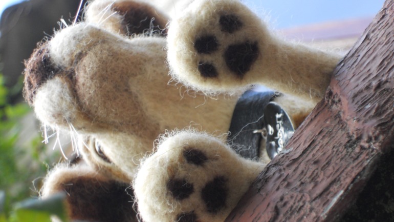 Мой Роберт)))))