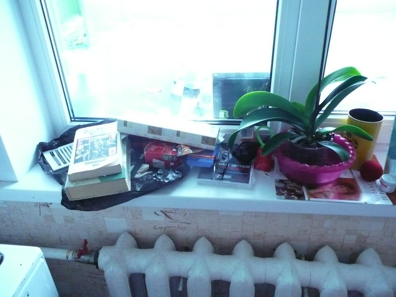 Отчет 65/8, 65/9