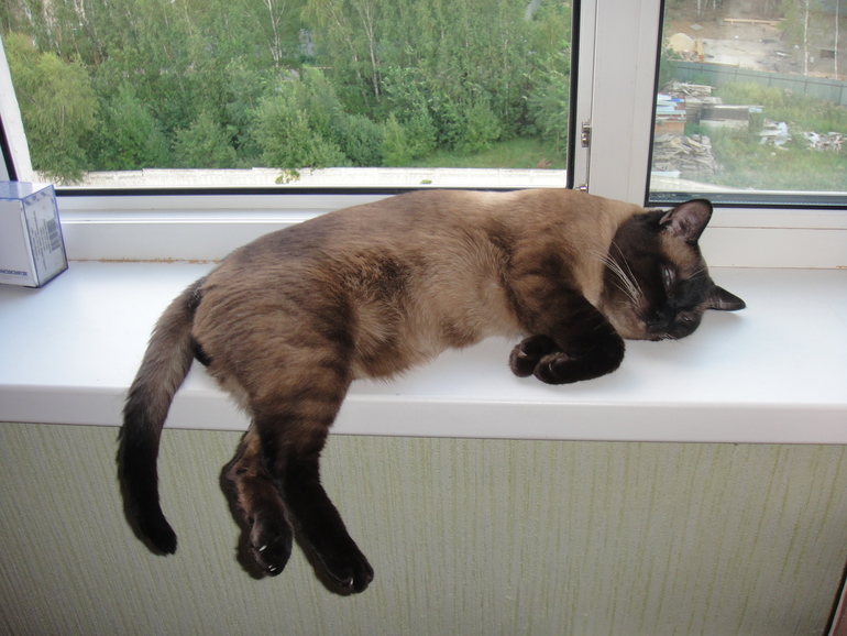 Не проснулся)))