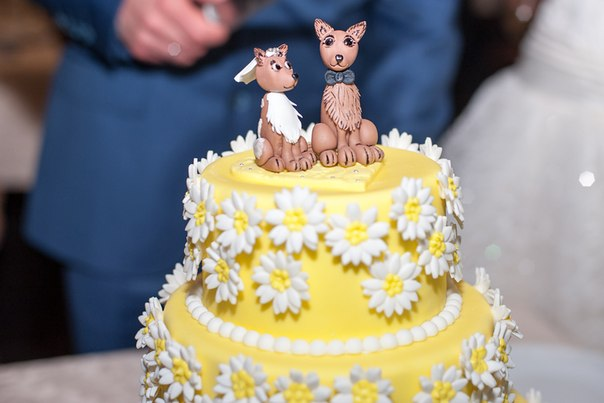 Свадебный с ромашками.