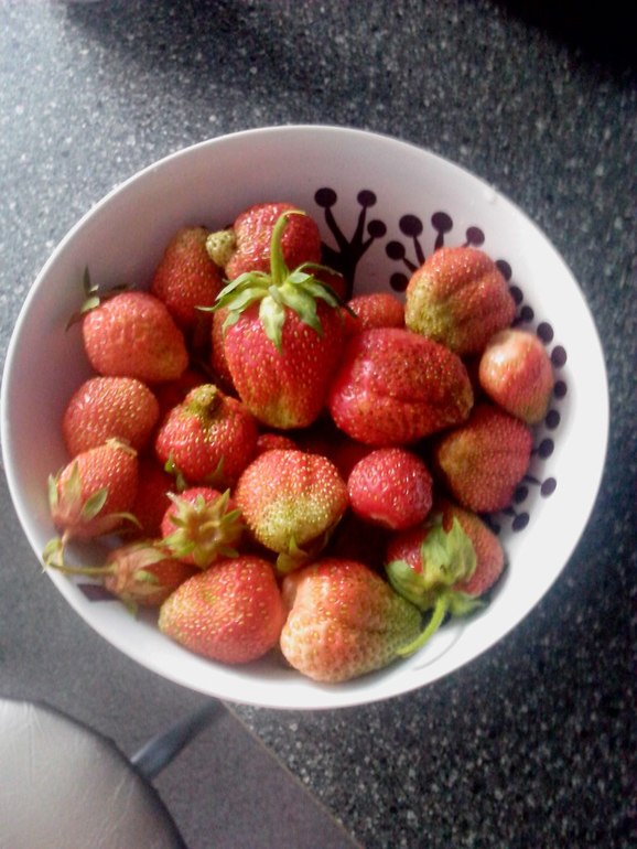 29-ая неделька)))Растем по-тихоньку)))))