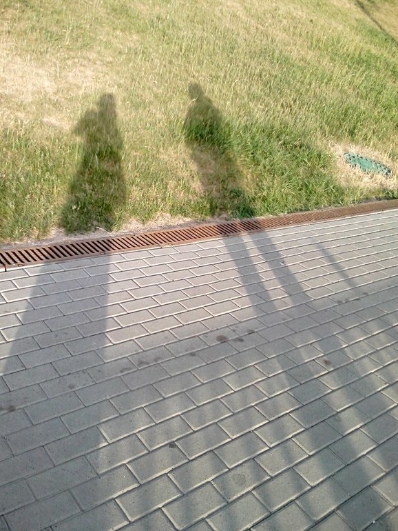 29-ая неделька)))Растем по-тихоньку)))))