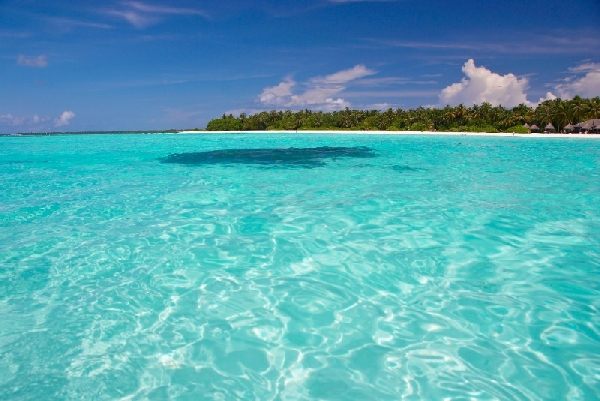 Что выбрать из купабельных стран на январь?!