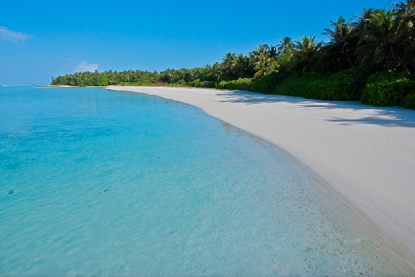 Что выбрать из купабельных стран на январь?!