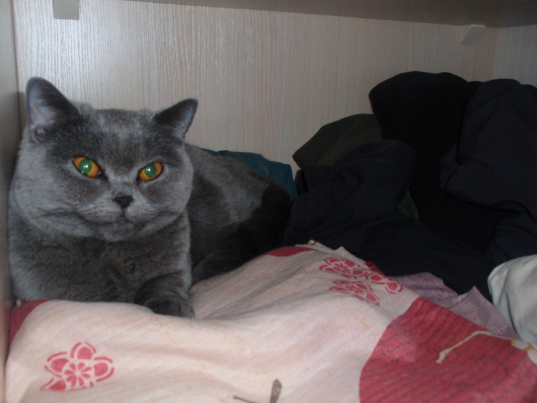 Наши санузлы.