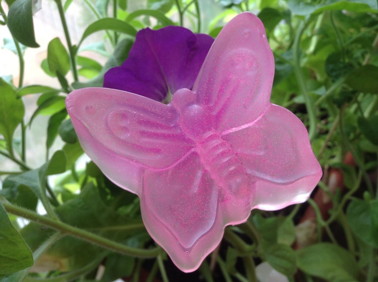 Малиновая бабочка