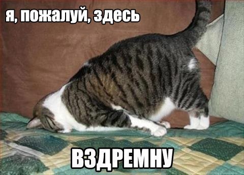 dda8cb62ed58c7ebb638dc463aa17fef.jpg