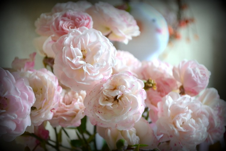 Зайка Роззи!