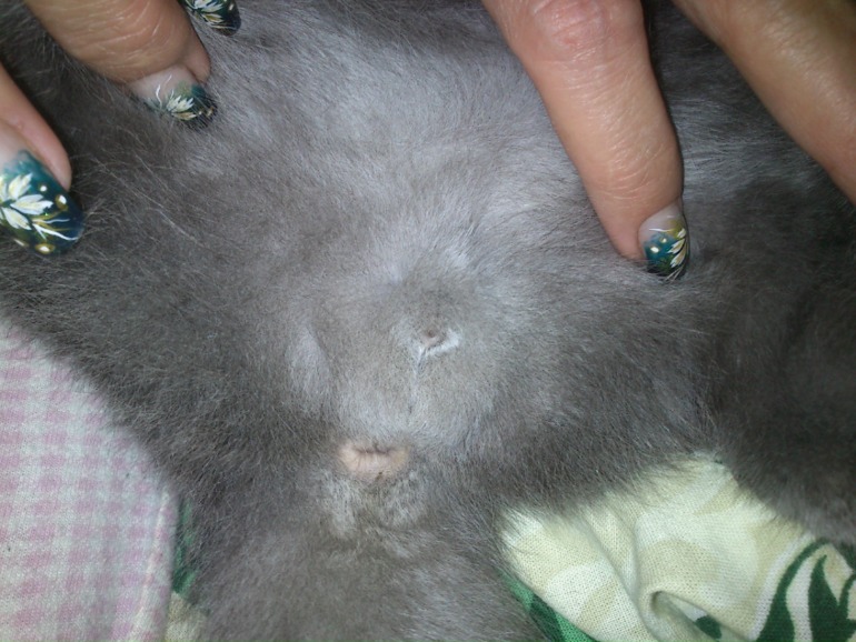 Девочки,срочно, кто знает!