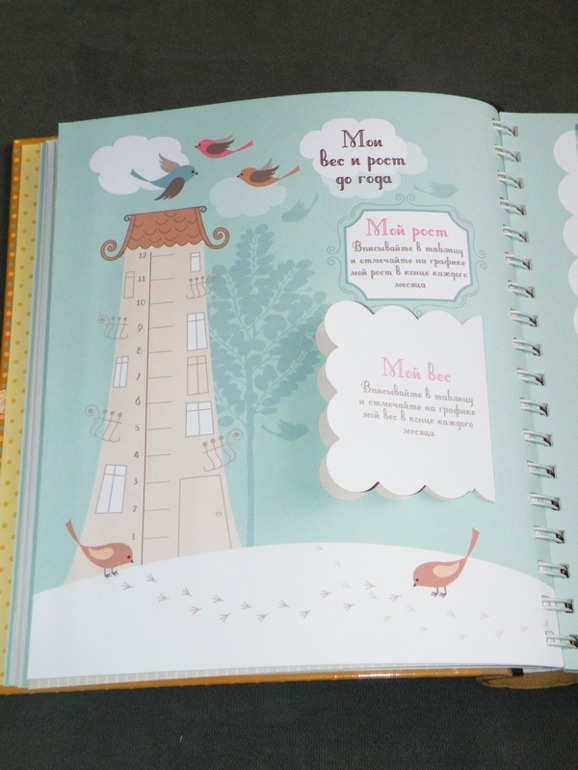 Фотоальбом.